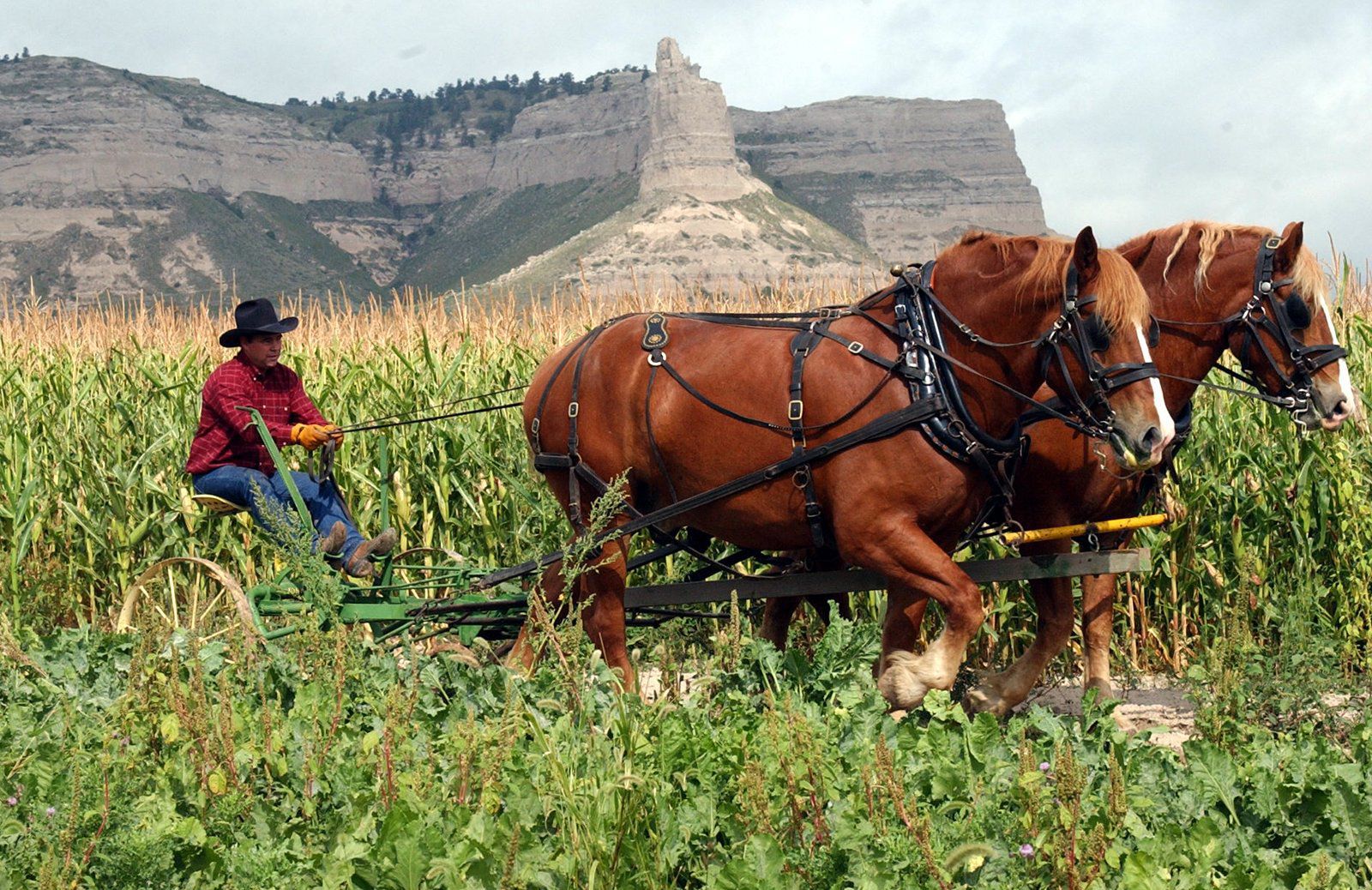 Farm and Ranch Museum